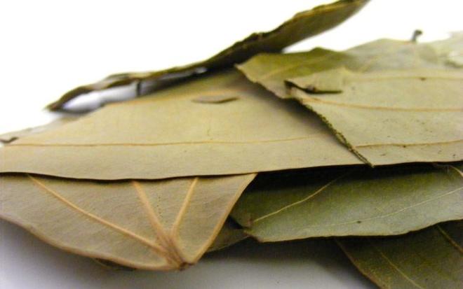 Bayleaf – تیزپات