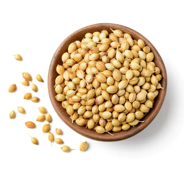 Coriander Whole – ثابت دھنیا