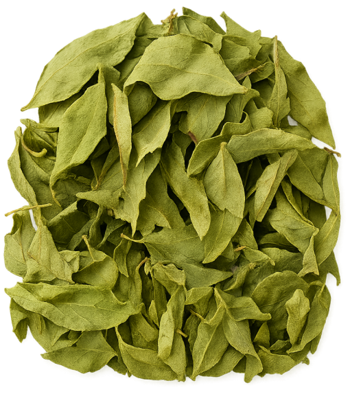 Curry Leaves – Curry pata – کری پتہ