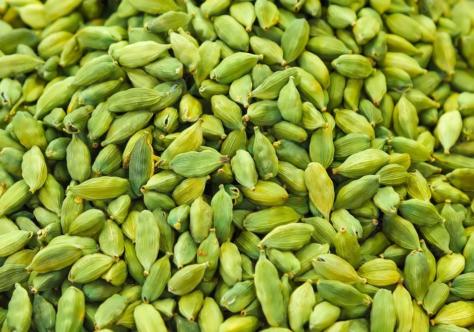 Green Cardamom – Choti Elachi – سبز الائچی