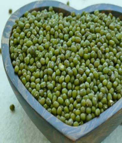 Daal Mong Salam (دال مونگ ثابت)