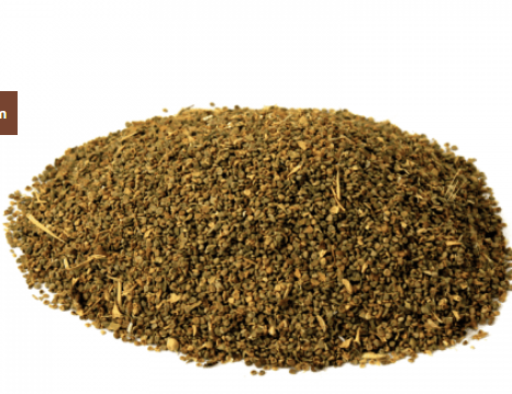 Ajwain Khurasani (Henbane) – اجوائن خراسانی