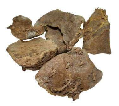 Amba Haldi (Mango Ginger) – 100% Pure and Natural