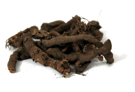 Anjbar (Knotgrass) – انجبار