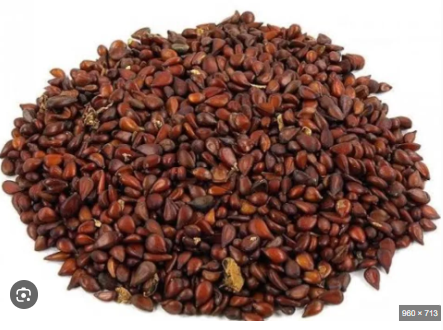 Quince seeds | bahi dana | beeh dana | بہی دانہ
